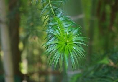 考试祝福语和鼓励的话(合集60句)