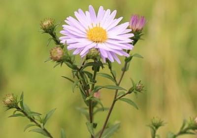 装修公司开业祝福语(实用50句)