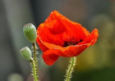 转正祝福语(精选70句)