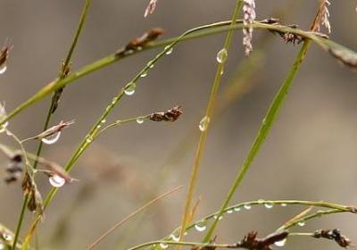 舞蹈比赛祝福语(汇总60句)