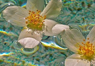 结婚祝福语怎么说(合集60句)