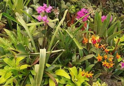 表妹订婚祝福语(合集40句)