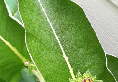 赞美演出成功的祝福语(必备70句)