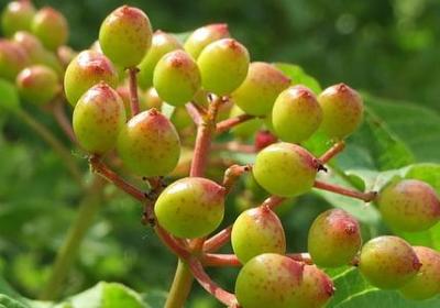 给学姐的祝福语(汇总39句)