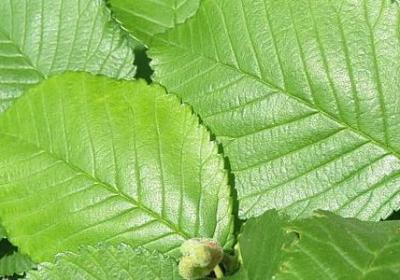 自己的生日祝福语(合集60句)