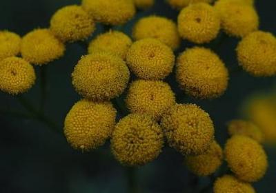 给宝贝的祝福语(优选60句)