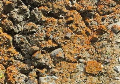 老弟生日祝福语简短(优选63句)