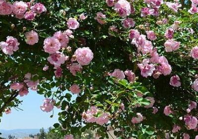 读书祝福语(优选50句)