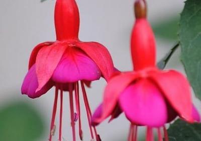 给新人祝福语(40句)