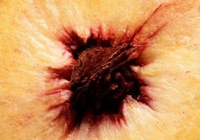 订货会祝福语(必备60句)