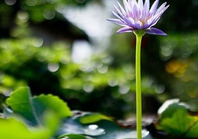 老年人生日快乐祝福语(优选50句)