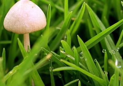 表妹新婚祝福语(通用40句)