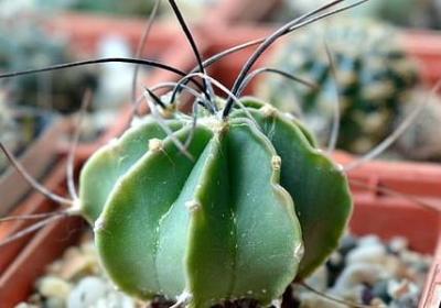 英语作文祝福语(热门80句)