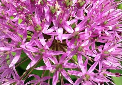 艺术学校开业祝福语(汇总40句)