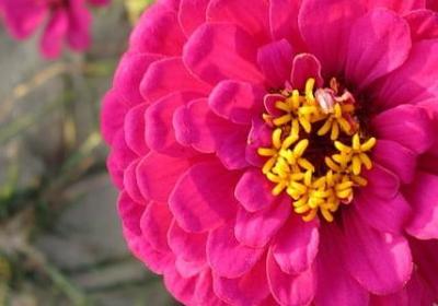 英语生日快乐祝福语(共80句)