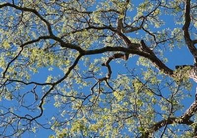 财运祝福语(精选69句)