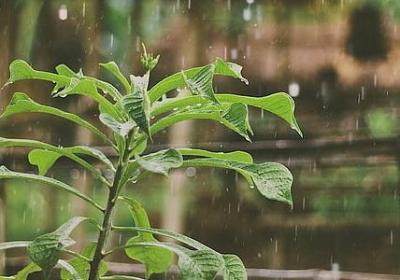 调动祝福语(实用90句)