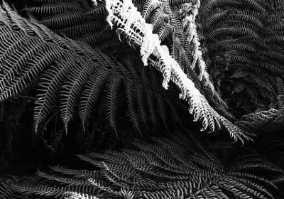 观音菩萨生日祝福语(汇总39句)