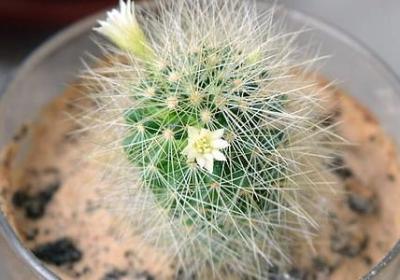 越活越年轻祝福语(合集50句)