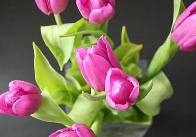 辞职后对公司的祝福语(优选70句)