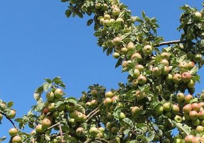 虎年祝福语简短(合集80句)