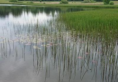 药店开业祝福语(必备50句)