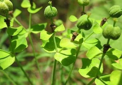 试营业祝福语(必备30句)