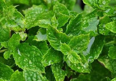 自己生日祝福语简短精辟(必备57句)