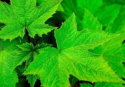 贺卡的祝福语(精选59句)