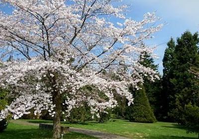 莘莘学子的祝福语(优选50句)