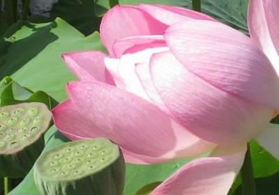 自家房子封顶祝福语(共50句)