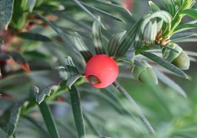 给客户的新年祝福语(必备50句)