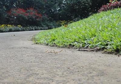 走心的生日祝福语(必备50句)