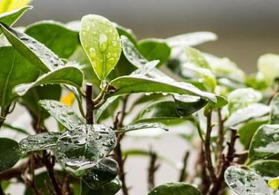 英语生日祝福语简短(必备60句)