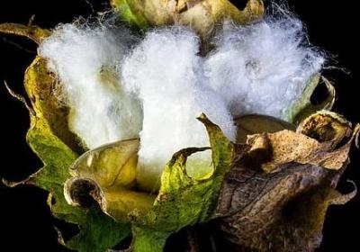 转学祝福语(通用50句)