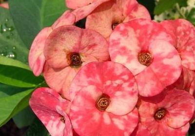 给做生意的祝福语(通用69句)