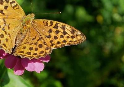 装修房子祝福语(合集40句)