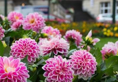 考研祝福语(通用70句)