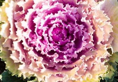 荣休祝福语大全(热门50句)