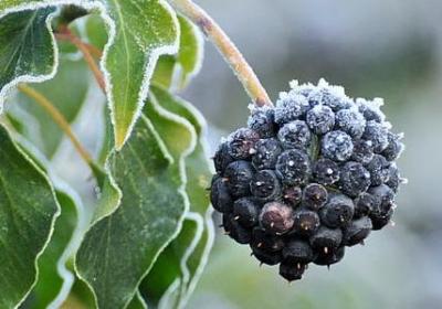 结婚视频祝福语(40句)