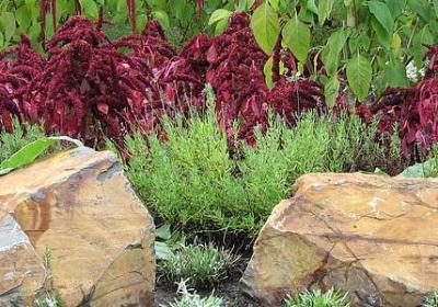 英语的祝福语(必备79句)