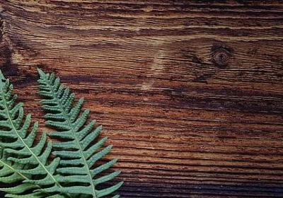 老总过生日祝福语(40句)