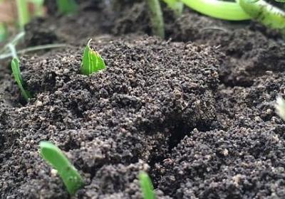 装修公司祝福语(推荐50句)