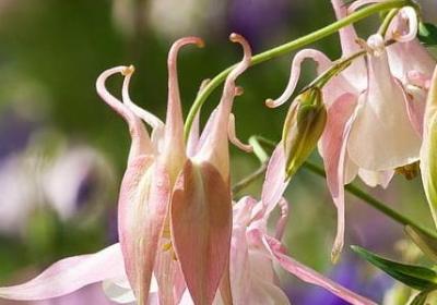 调动工作岗位的祝福语(必备40句)