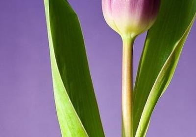 辞职祝福语(50句)