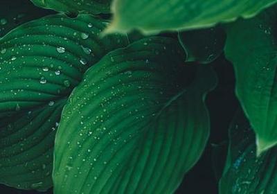 跳舞的祝福语(热门50句)