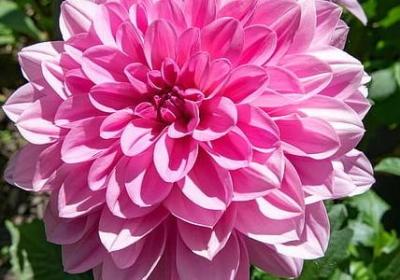 蜜月快乐祝福语(汇总50句)