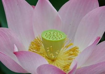 老爸60大寿祝福语简短(热门60句)