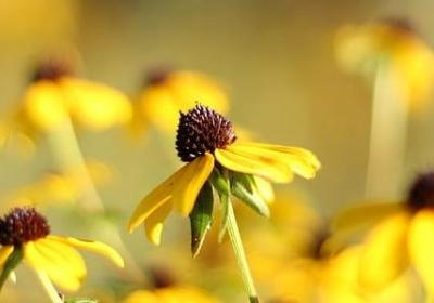 舞蹈祝福语(精选40句)