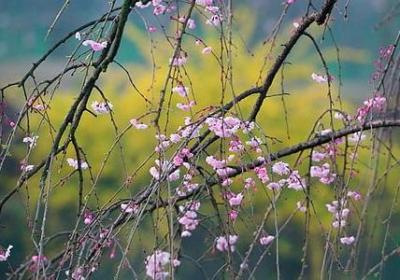 老师给孩子的祝福语(合集50句)